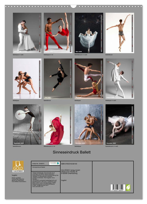 Sinneseindruck Ballett (CALVENDO Wandkalender 2026)