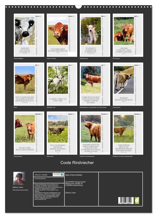 Coole Rindviecher (CALVENDO Wandkalender 2026)