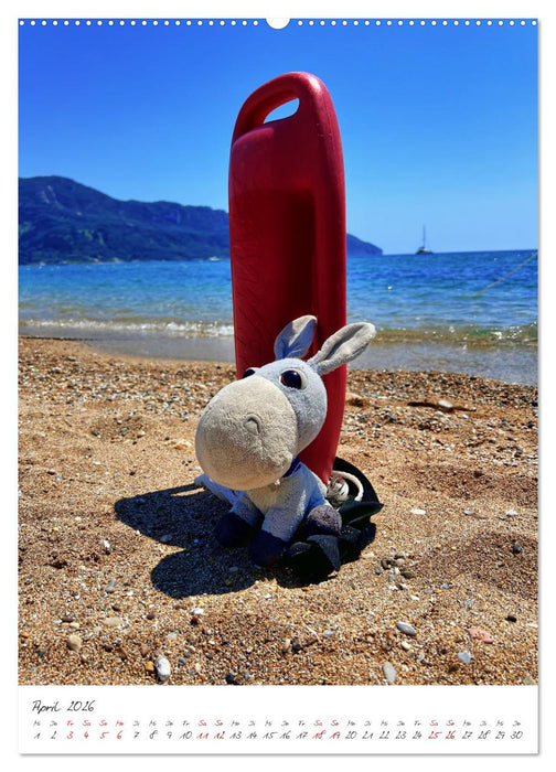 Schorschi auf Reisen (CALVENDO Premium Wandkalender 2026)