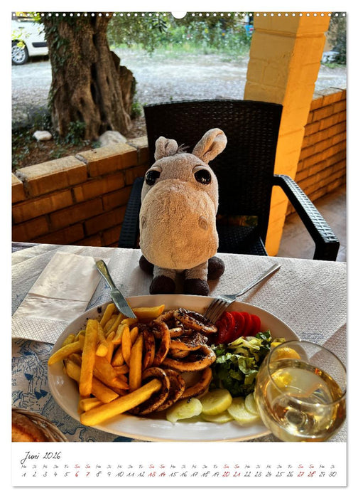 Schorschi auf Reisen (CALVENDO Premium Wandkalender 2026)