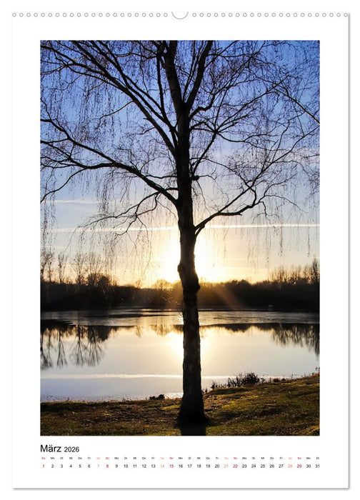 Mein Steinertsee (CALVENDO Premium Wandkalender 2026)