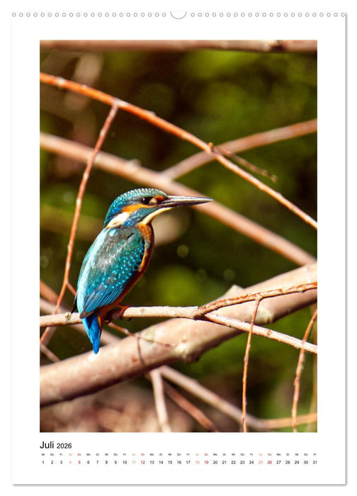 Mein Steinertsee (CALVENDO Premium Wandkalender 2026)