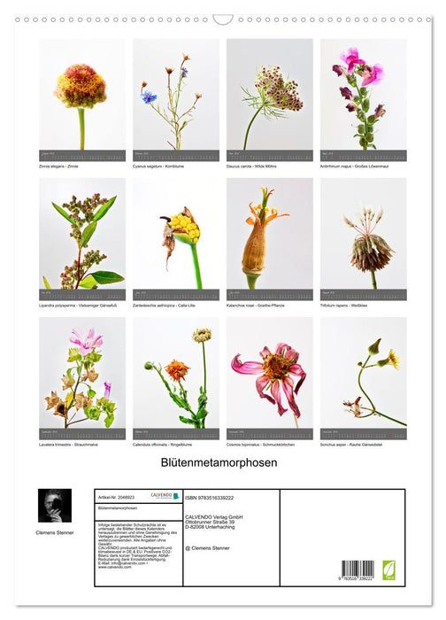 Blütenmetamorphosen (CALVENDO Wandkalender 2026)