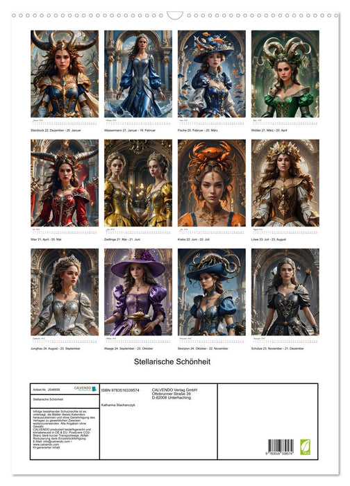 Stellarische Schönheit (CALVENDO Wandkalender 2026)