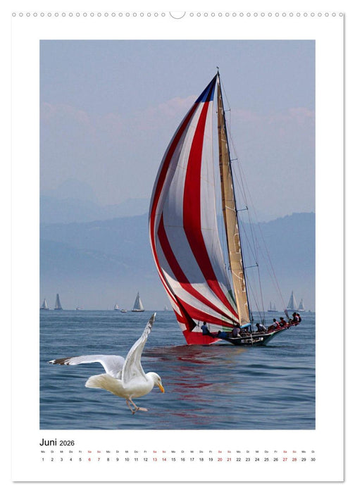 Segeln - auf Kurs (CALVENDO Wandkalender 2026)