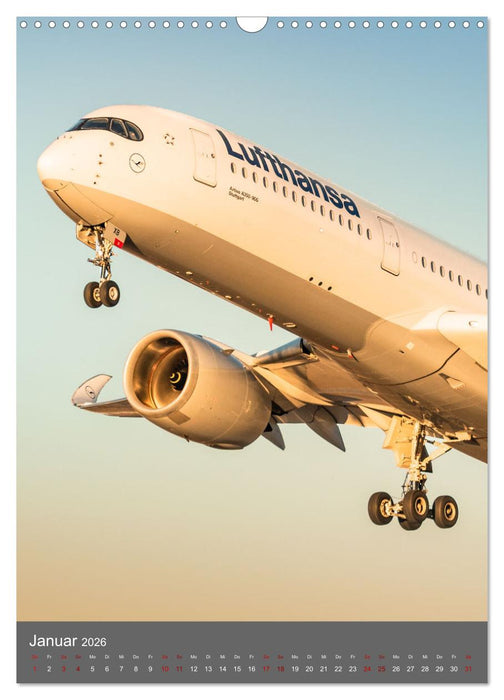 Flugzeuge aus aller Welt (CALVENDO Wandkalender 2026)