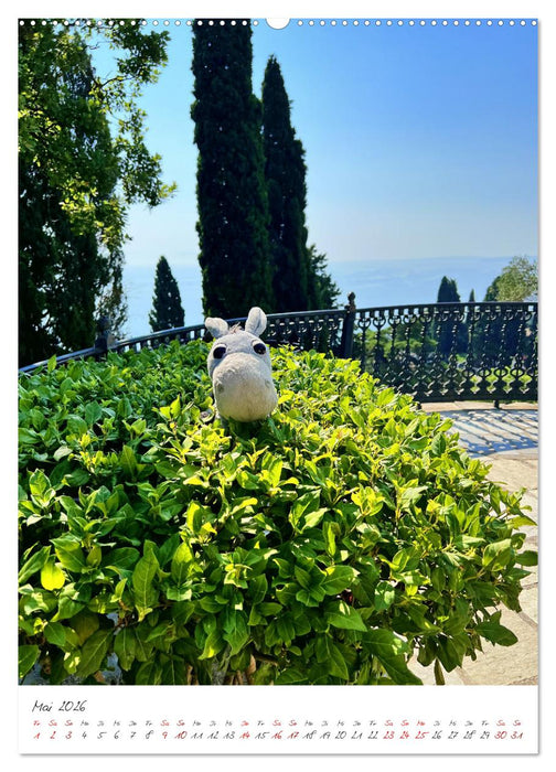 Schorschi auf Reisen (CALVENDO Wandkalender 2026)