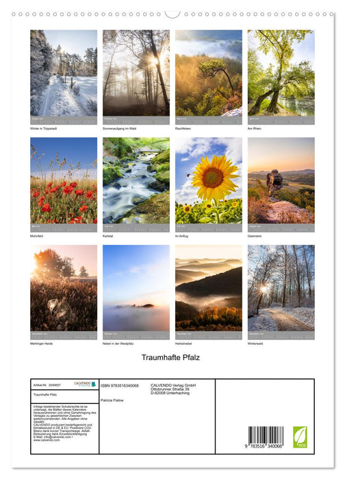 Traumhafte Pfalz (CALVENDO Premium Wandkalender 2026)