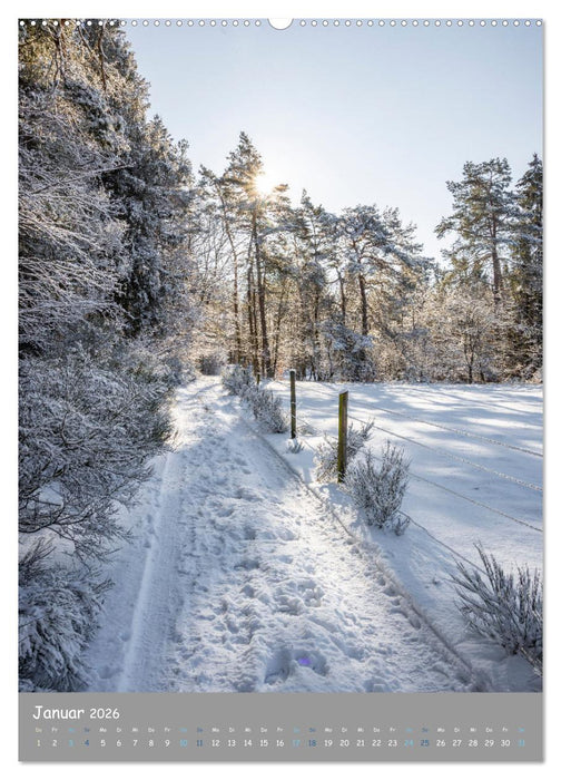 Traumhafte Pfalz (CALVENDO Premium Wandkalender 2026)