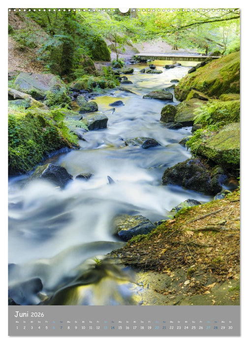 Traumhafte Pfalz (CALVENDO Premium Wandkalender 2026)