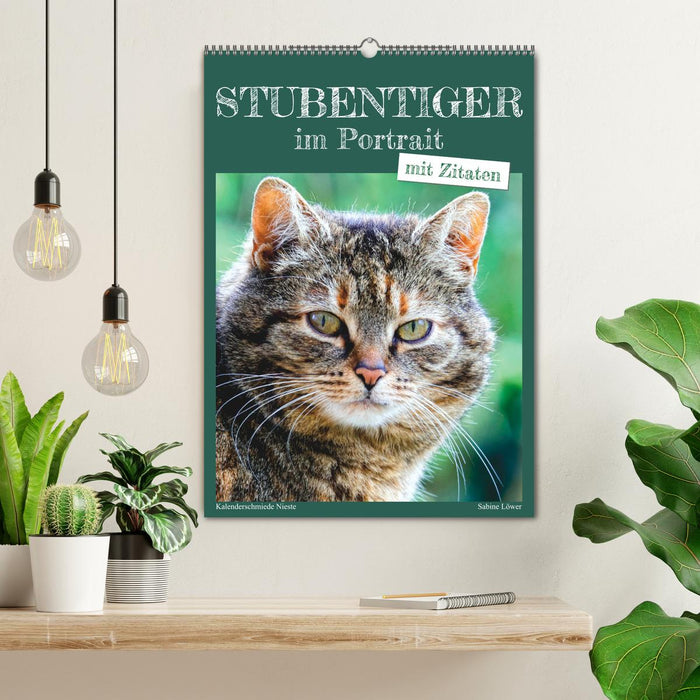 Stubentiger im Portrait (CALVENDO Wandkalender 2026)