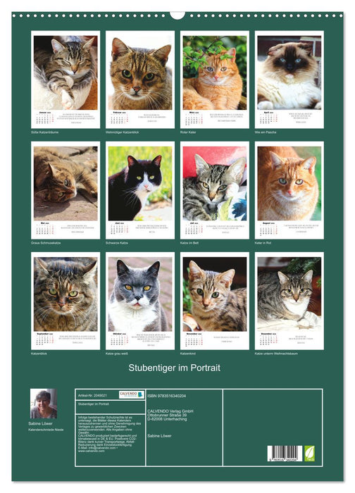 Stubentiger im Portrait (CALVENDO Wandkalender 2026)