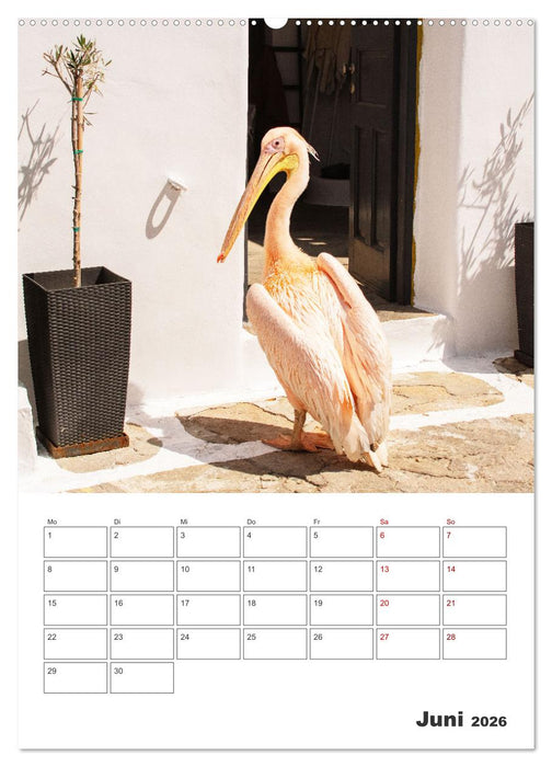Stadt Mykonos - Reiseplaner (CALVENDO Premium Wandkalender 2026)