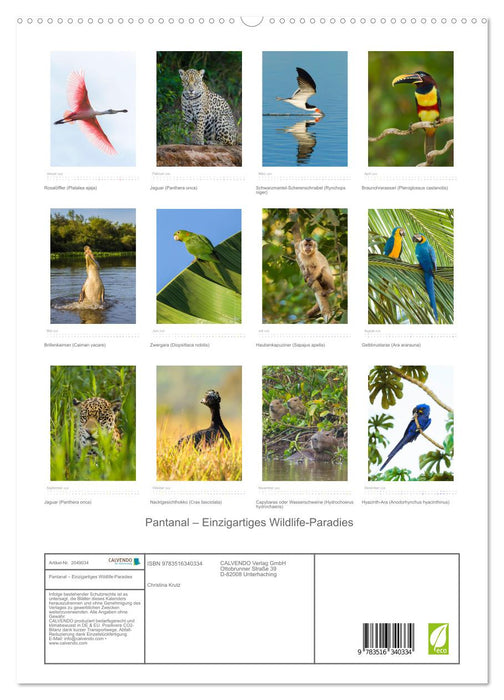 Pantanal – Einzigartiges Wildlife-Paradies (CALVENDO Premium Wandkalender 2026)