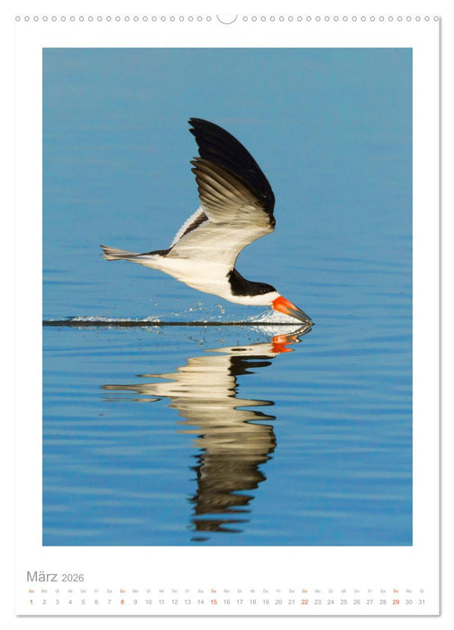 Pantanal – Einzigartiges Wildlife-Paradies (CALVENDO Premium Wandkalender 2026)