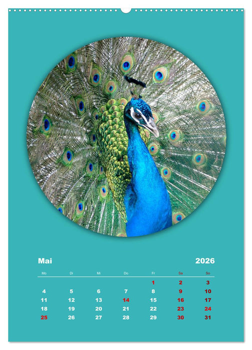 Rundherum Natur (CALVENDO Premium Wandkalender 2026)