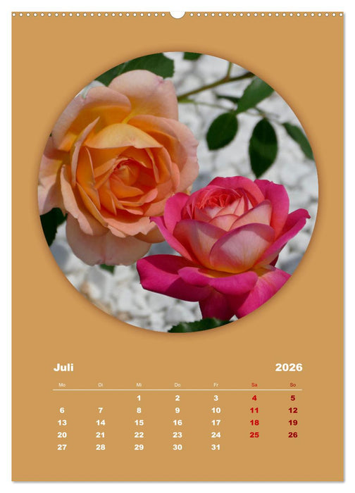 Rundherum Natur (CALVENDO Premium Wandkalender 2026)