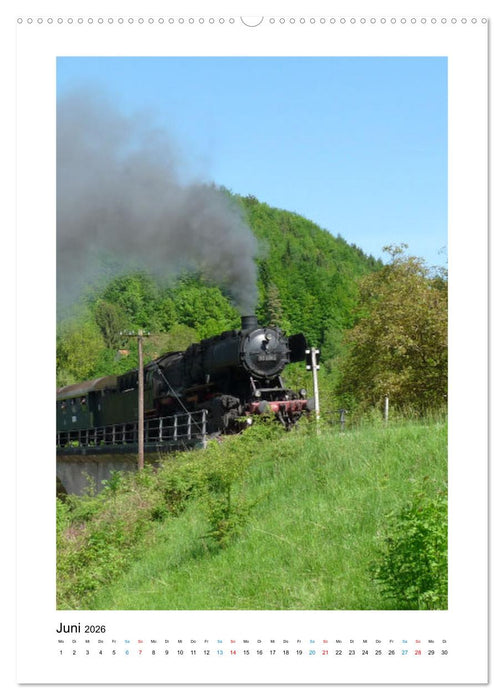 Rund um Ludwigsburg (CALVENDO Premium Wandkalender 2026)