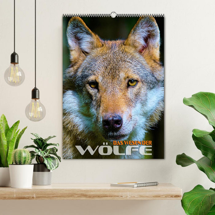 Das Wesen der Wölfe (CALVENDO Wandkalender 2026)