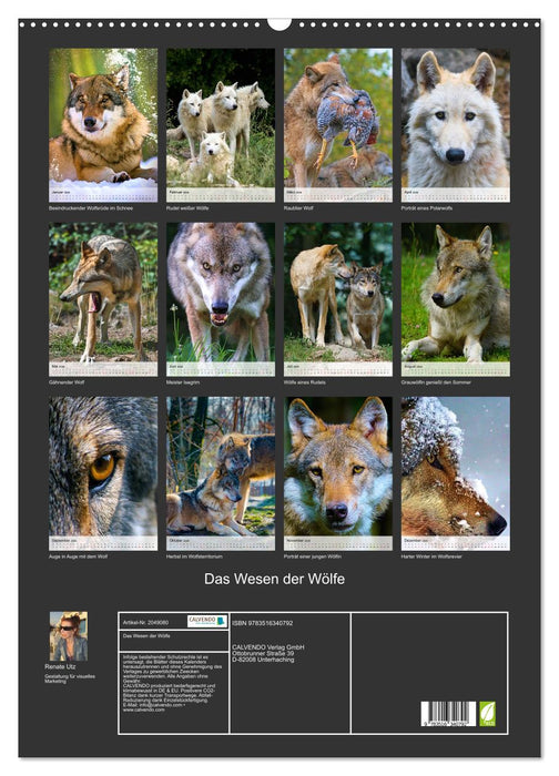 Das Wesen der Wölfe (CALVENDO Wandkalender 2026)