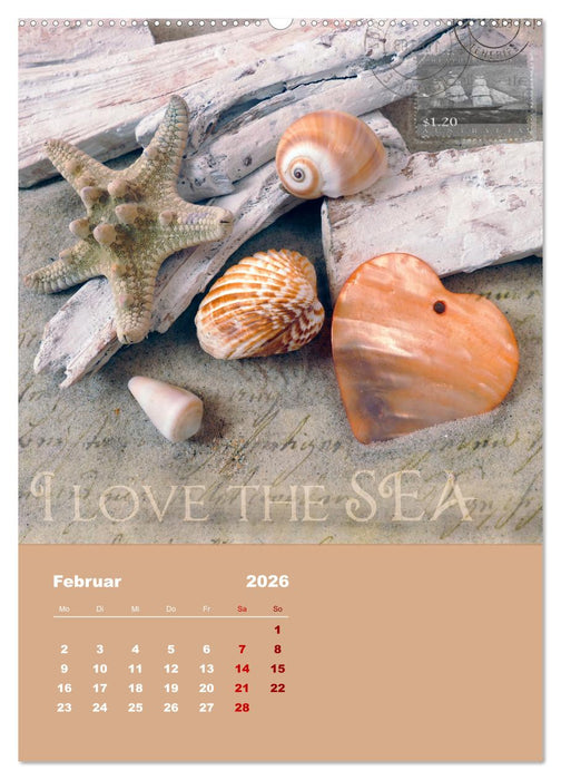 Geschenke vom Meer (CALVENDO Premium Wandkalender 2026)