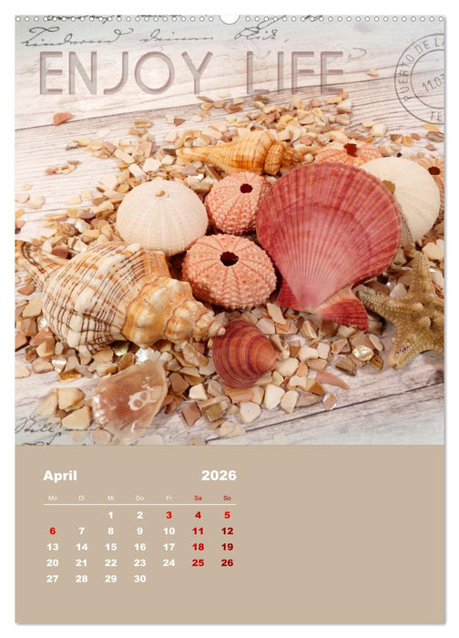Geschenke vom Meer (CALVENDO Premium Wandkalender 2026)