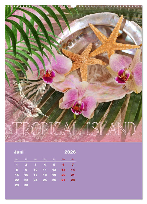 Geschenke vom Meer (CALVENDO Premium Wandkalender 2026)