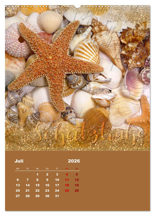 Geschenke vom Meer (CALVENDO Premium Wandkalender 2026)
