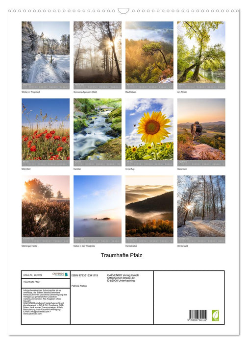 Traumhafte Pfalz (CALVENDO Wandkalender 2026)