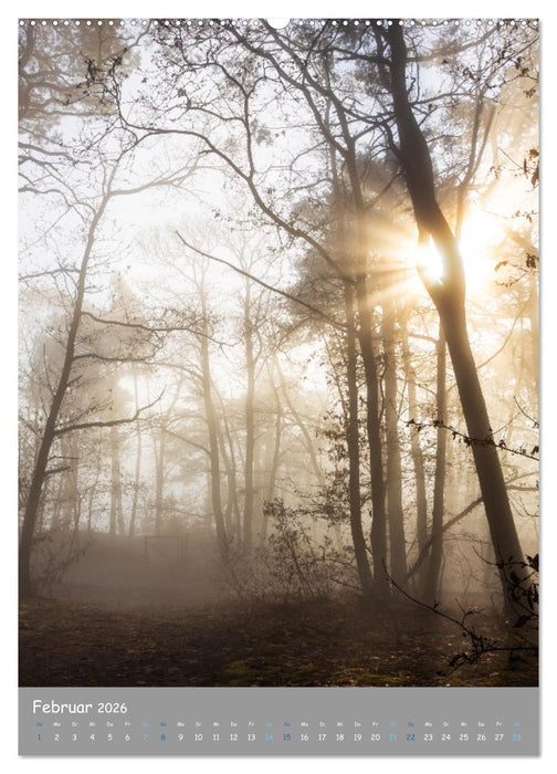 Traumhafte Pfalz (CALVENDO Wandkalender 2026)