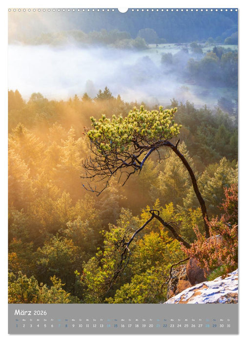 Traumhafte Pfalz (CALVENDO Wandkalender 2026)