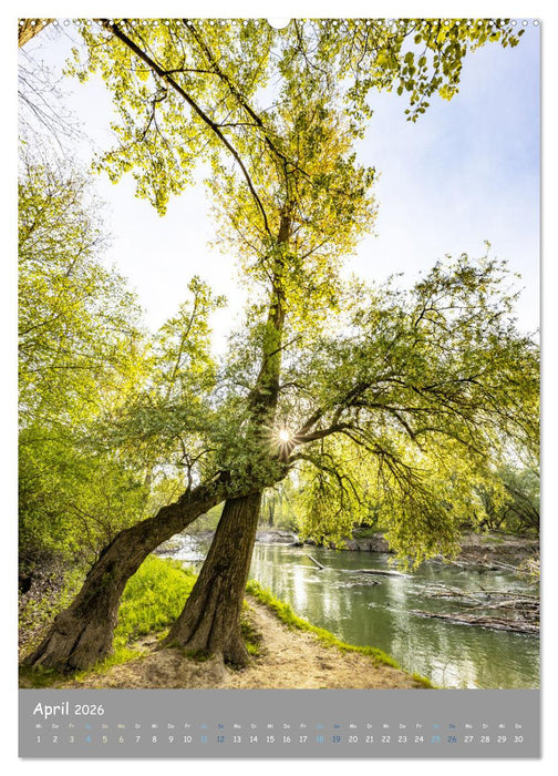 Traumhafte Pfalz (CALVENDO Wandkalender 2026)