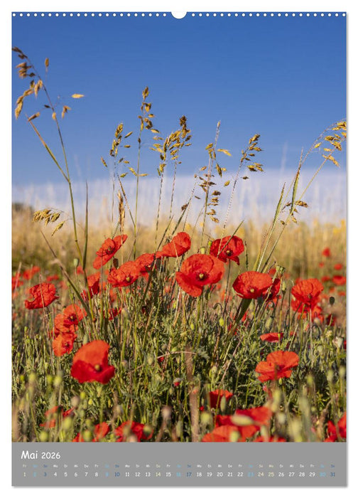 Traumhafte Pfalz (CALVENDO Wandkalender 2026)