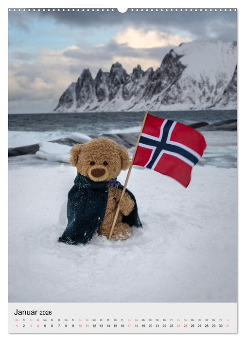 Travelling Teddy liebt es Bunt (CALVENDO Wandkalender 2026)