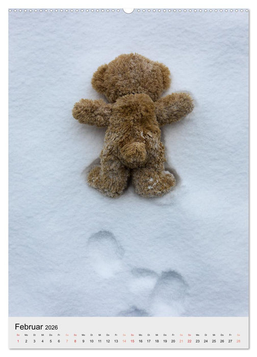 Travelling Teddy liebt es Bunt (CALVENDO Wandkalender 2026)