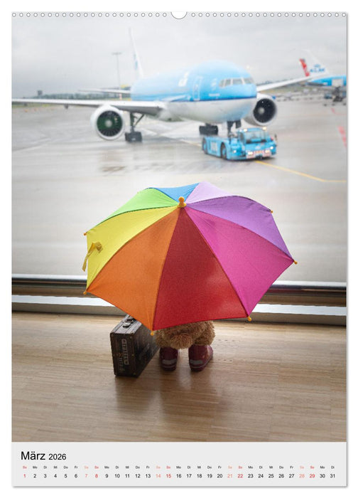 Travelling Teddy liebt es Bunt (CALVENDO Wandkalender 2026)