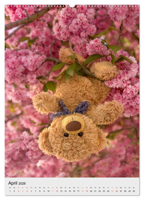 Travelling Teddy liebt es Bunt (CALVENDO Wandkalender 2026)