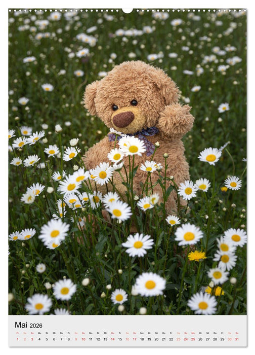 Travelling Teddy liebt es Bunt (CALVENDO Wandkalender 2026)