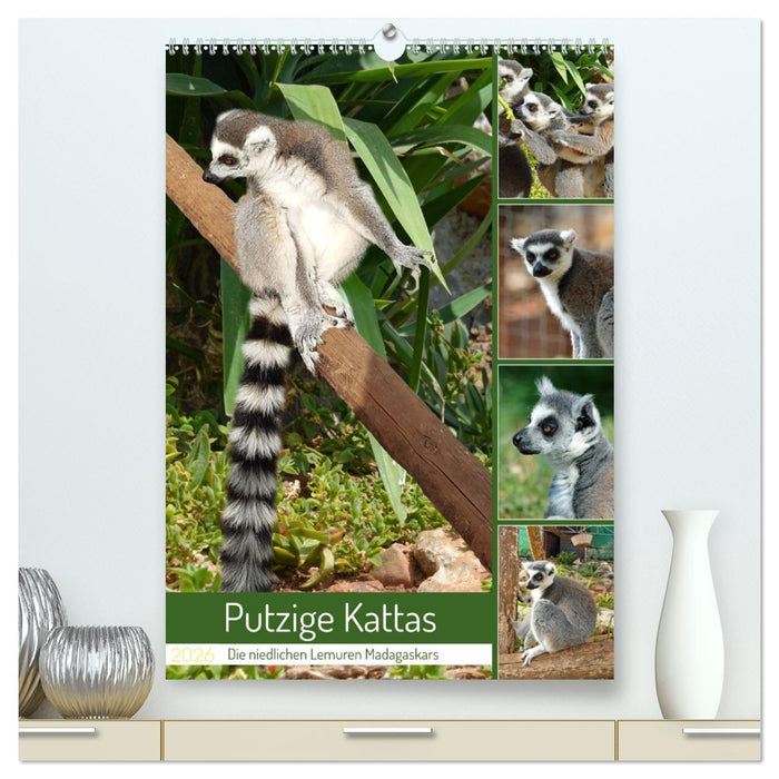 Putzige Kattas (CALVENDO Premium Wandkalender 2026)