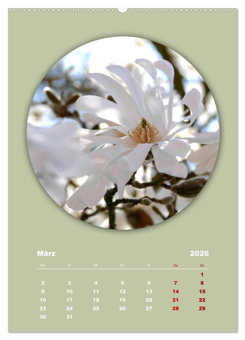 Rundherum Natur (CALVENDO Wandkalender 2026)