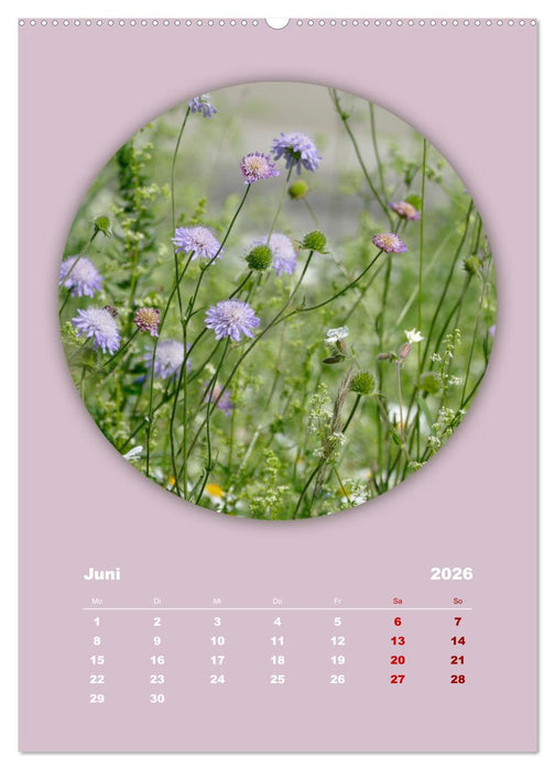 Rundherum Natur (CALVENDO Wandkalender 2026)