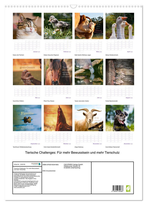 Tierische Challenges: Für mehr Bewusstsein und mehr Tierschutz (CALVENDO Wandkalender 2026)
