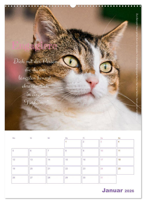 Tierische Challenges: Für mehr Bewusstsein und mehr Tierschutz (CALVENDO Wandkalender 2026)