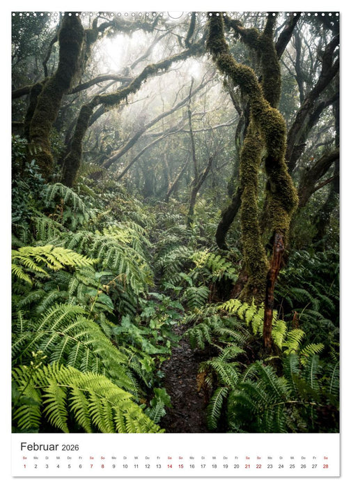 Teneriffa - Die Trauminsel (CALVENDO Wandkalender 2026)