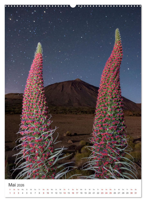 Teneriffa - Die Trauminsel (CALVENDO Wandkalender 2026)