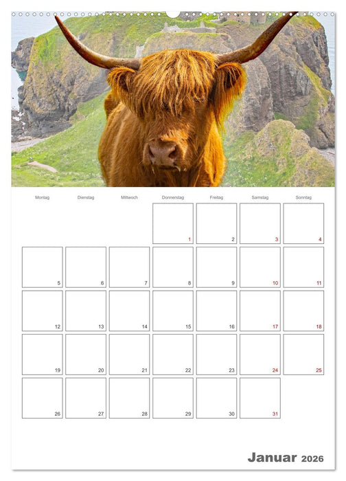 Schottland - Reiseplaner (CALVENDO Wandkalender 2026)