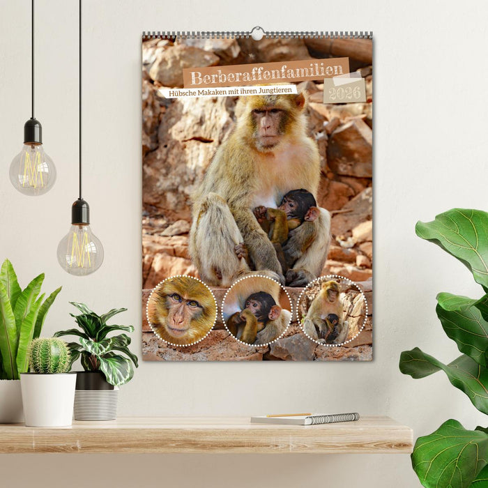Berberaffenfamilien (CALVENDO Wandkalender 2026)