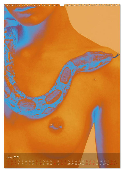 Haut an Haut (CALVENDO Premium Wandkalender 2026)