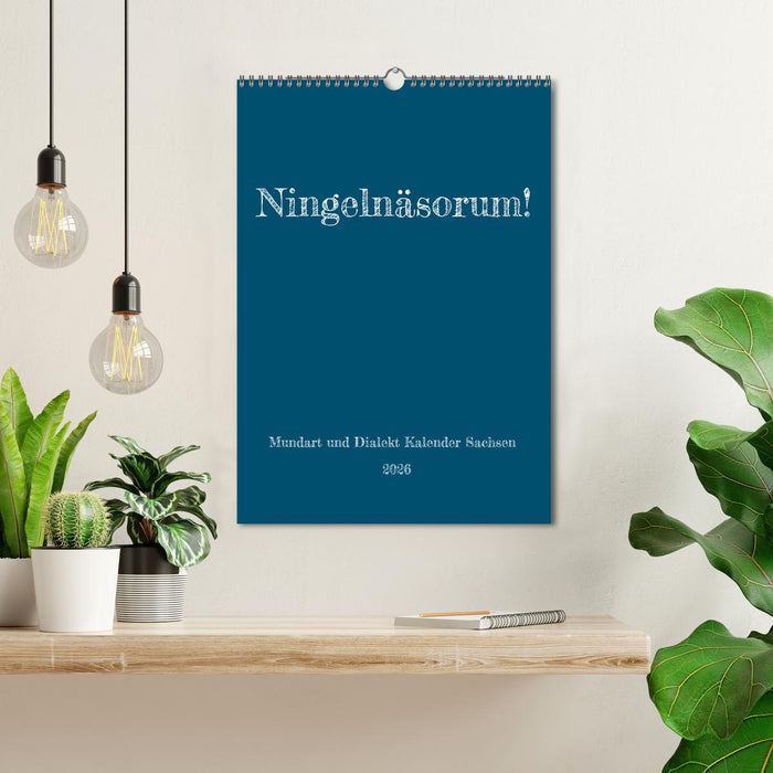 Ningelnäsorum! Mundart und Dialekt Kalender Sachsen (CALVENDO Wandkalender 2026)