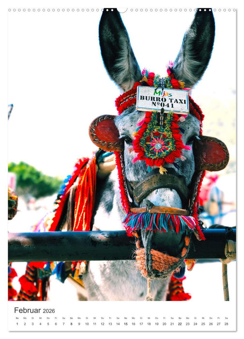 Spanien - Tapas, Flamenco und Sangria (CALVENDO Premium Wandkalender 2026)